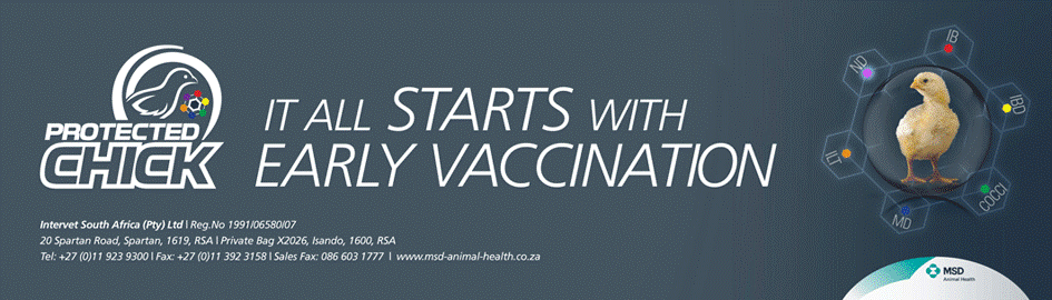 Insist on a Protected Chick